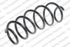 LESJ?FORS 4066818 Coil Spring